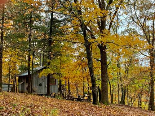 A rustic cabin surrounded by vibrant autumn trees with golden leaves.