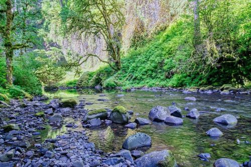 A serene river flows through a lush green landscape, surrounded by trees and smooth stones along the water's edge.