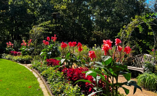 A vibrant garden filled with pink flowers, lush greenery, and a winding path under a clear blue sky.