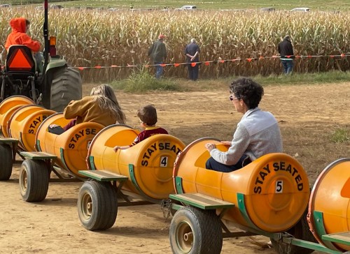 A tractor pulls a train of orange barrels with children and adults seated, set against a cornfield backdrop.