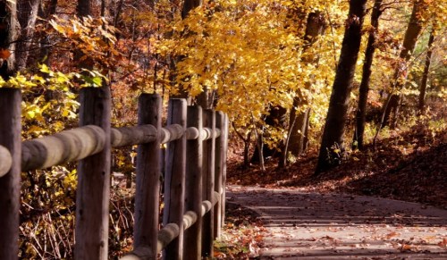 A serene path through a forest with vibrant autumn leaves and a wooden fence lining the trail.