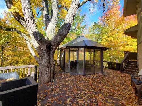A cozy gazebo surrounded by vibrant autumn foliage and fallen leaves, with a large tree nearby.