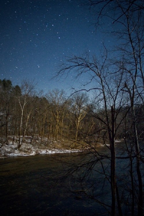 A serene night scene with a starry sky above a river, framed by bare trees and a snowy riverbank.