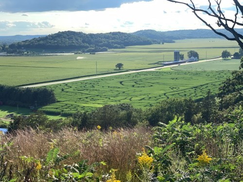 Aerial view of lush green fields with winding paths, hills in the background, and a road cutting through the landscape.