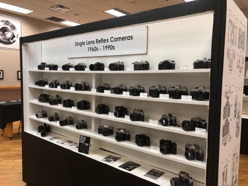 Display of various single lens reflex cameras from the 1960s to 1990s on shelves in a gallery setting.