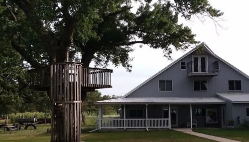 A treehouse beside a large gray house with a porch, surrounded by greenery and a gravel path.