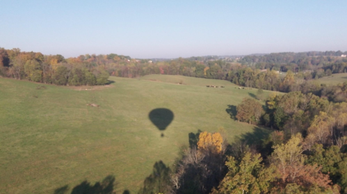 A hot air balloon casts a shadow over a lush green landscape with trees and rolling hills in the background.