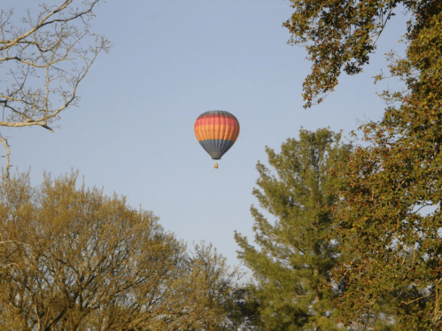 A colorful hot air balloon floats above trees against a clear blue sky.