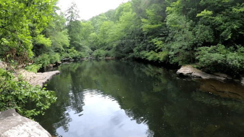 A serene river surrounded by lush green trees and rocky banks, reflecting the peaceful landscape.