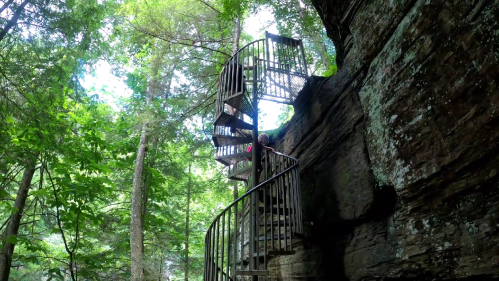 A person climbs a spiral staircase built into a rocky cliff, surrounded by lush green trees.