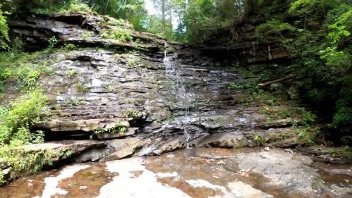 A serene waterfall cascading over rocky cliffs, surrounded by lush greenery and a calm stream below.
