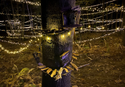 A tree adorned with wooden decorations and twinkling fairy lights in a forest setting at night.