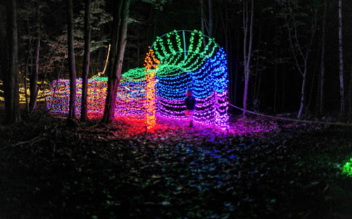 A colorful light display in a dark forest, featuring vibrant, glowing patterns among the trees.