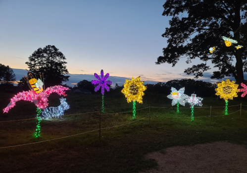 Colorful illuminated flowers and bees on display against a twilight sky, creating a vibrant outdoor scene.