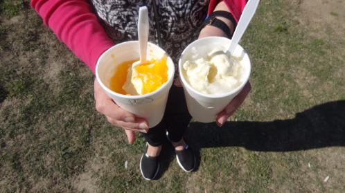 A person holds two cups of frozen desserts: one orange and one white, both with spoons, on a grassy surface.