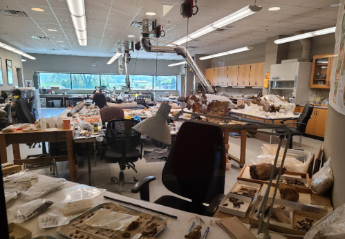 A busy laboratory filled with tables, tools, and specimens, with researchers working amidst various artifacts.