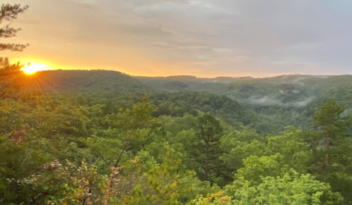 A serene landscape at sunset, with rolling green hills and mist rising in the valleys.