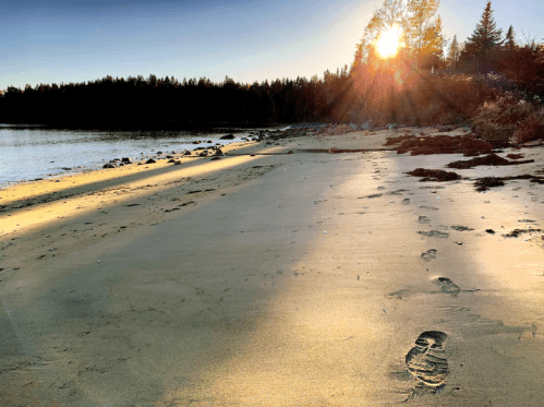 A serene beach at sunset, with footprints in the sand and trees lining the shore.