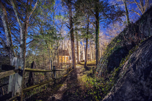 A serene forest path at night, lined with trees and a wooden fence, leading to a cozy cabin illuminated by soft light.