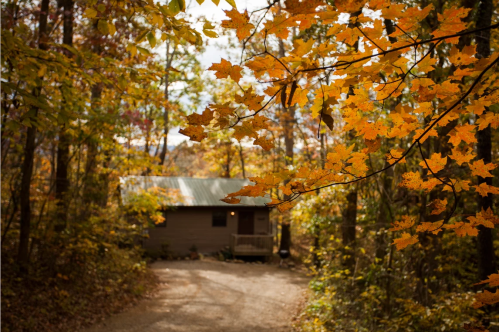 A cozy cabin surrounded by vibrant autumn leaves and trees, with a gravel path leading to it.