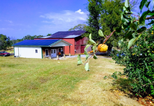 A rural scene featuring a white house and a red barn, with green grass and trees under a blue sky.