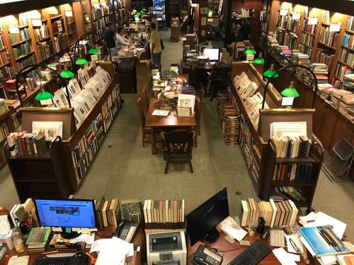 A cozy library filled with books, featuring wooden shelves, green lamps, and people working at tables and computers.