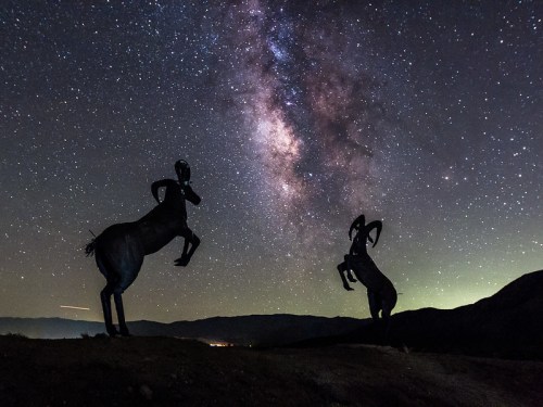 Silhouettes of two horse sculptures against a starry night sky with the Milky Way visible above.