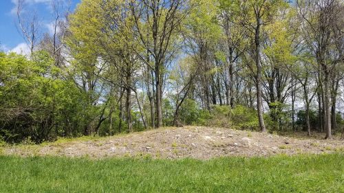 A grassy area with a small mound surrounded by trees and a blue sky with scattered clouds.