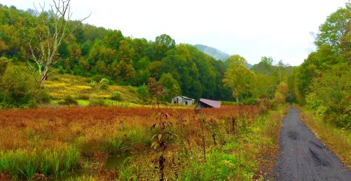 A winding path leads through a colorful field with a rustic building surrounded by lush green trees and hills.