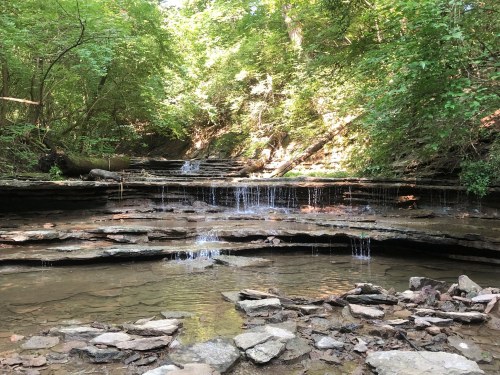 A serene stream flows over rocky ledges, surrounded by lush green trees and dappled sunlight.
