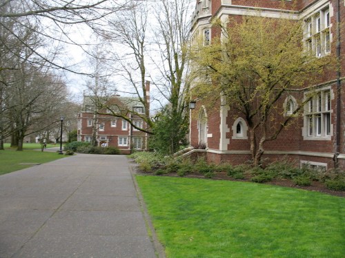 A pathway lined with grass and trees, leading to brick buildings on a college campus.