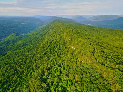 Aerial view of lush green mountains and valleys under a clear sky, showcasing dense forested landscapes.