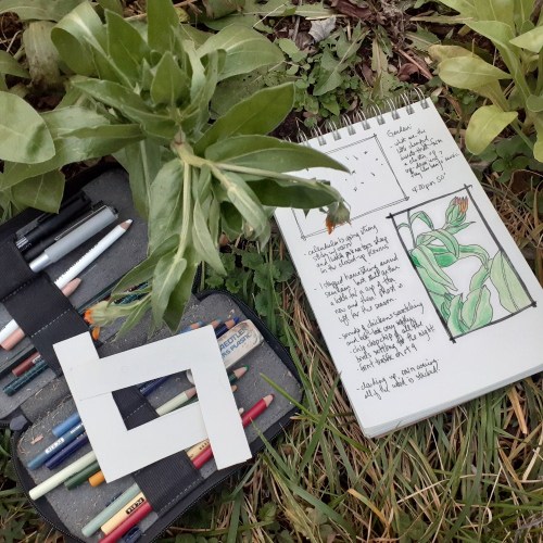 A sketchbook and art supplies on grass, with a drawing of a plant and handwritten notes beside green foliage.