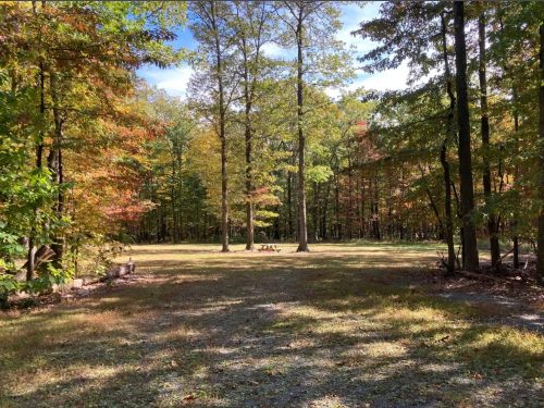 A serene forest clearing with colorful autumn trees and a small gathering area in the center.