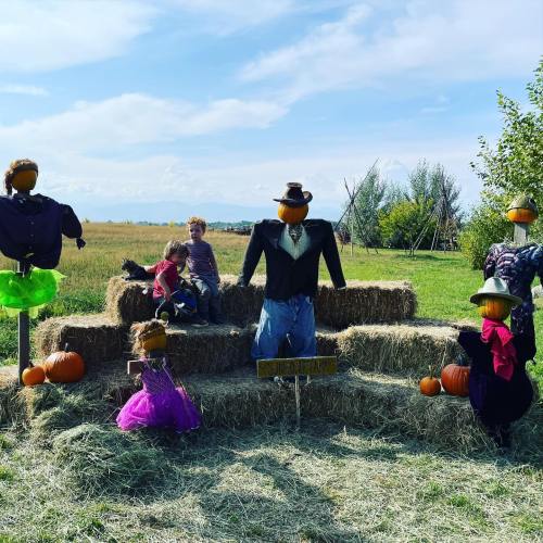 A festive scene with scarecrows dressed in colorful outfits, hay bales, and pumpkins in a sunny outdoor setting.