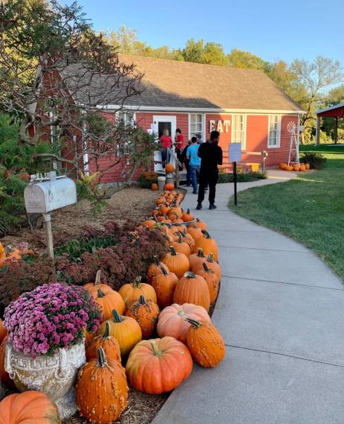 A pathway lined with pumpkins leads to a red building with "EAT" on the wall, surrounded by autumn foliage.