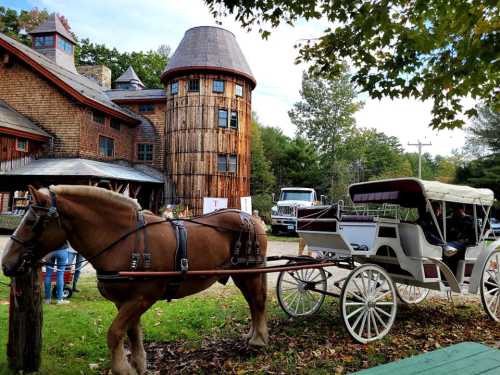 A horse-drawn carriage is parked near a unique wooden building surrounded by trees.