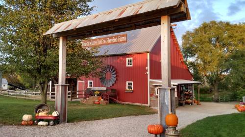 A red barn with a metal roof, surrounded by pumpkins and a gravel path, under a clear sky.
