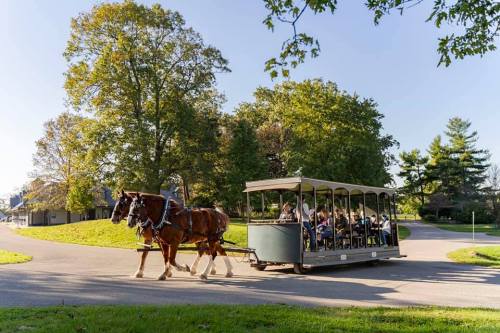A horse-drawn carriage carries passengers along a scenic path surrounded by trees on a sunny day.