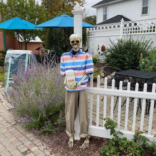 A skeleton wearing a striped shirt and pants stands by a white picket fence in a garden setting.