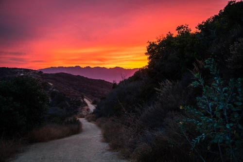 A winding dirt path leads through hills under a vibrant sunset with shades of orange and purple.