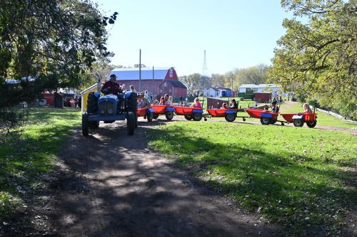 A vintage tractor drives along a dirt path, pulling colorful trailers near a farm with a red barn in the background.