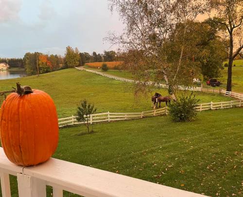 A pumpkin sits on a railing, overlooking a green field with a horse and trees under a colorful sky.