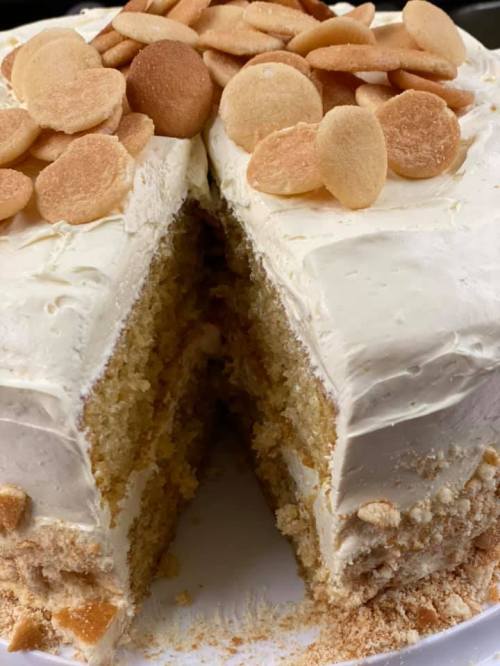 A layered cake with creamy frosting and topped with round cookies, showing a slice cut out.
