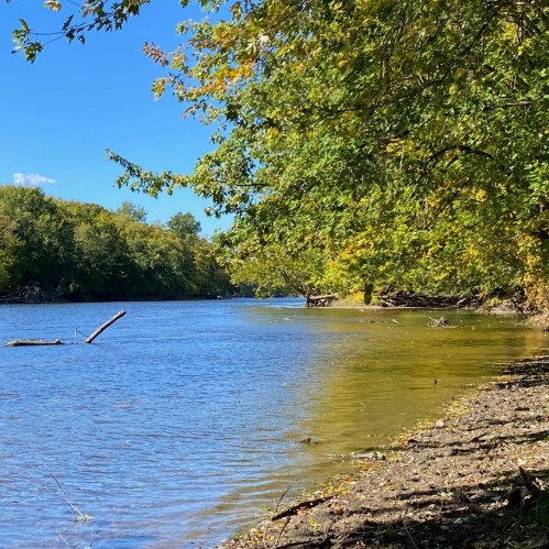 A serene riverbank scene with lush green trees and clear blue skies reflecting on the water's surface.
