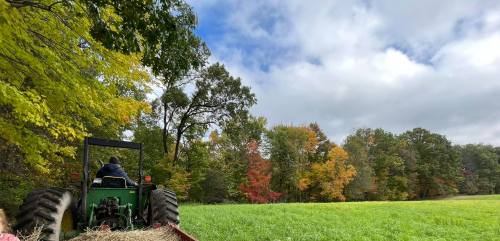 A person drives a tractor through a vibrant autumn landscape with colorful trees and a cloudy sky.