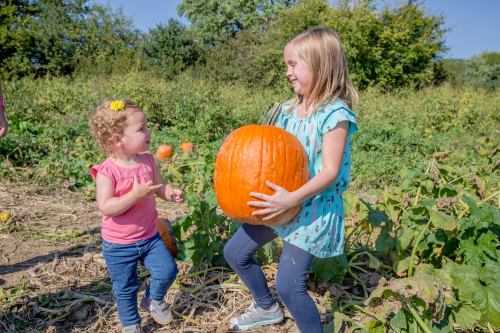 Two young girls in a pumpkin patch, one holding a large pumpkin while the other smiles and gestures playfully.