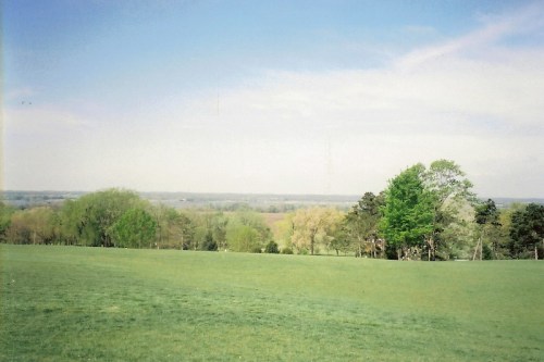 A wide view of a green landscape with trees and a clear blue sky, stretching into the distance.