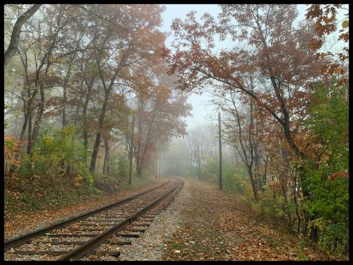A foggy scene of a railway track winding through colorful autumn trees and fallen leaves.