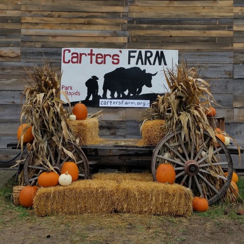 A rustic farm display with hay bales, pumpkins, and a sign for Carter's Farm in Park Rapids.